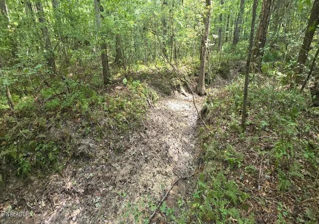 Photo 4 of Land for sale at W Laurel Way, Monterey, TN 38574 | MLS# 1354995 | Listing updated on 2026-09-10