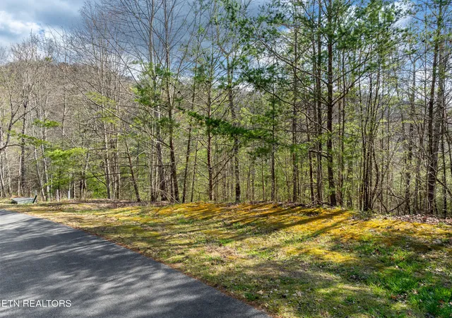 Photo 2 of Land for sale at 227 Black Powder Ct, Walland, TN 37886 | MLS# 1354144 | Listing updated on 2026-09-02