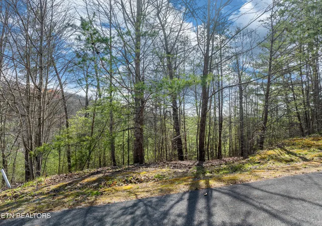 Photo 3 of Land for sale at 227 Black Powder Ct, Walland, TN 37886 | MLS# 1354144 | Listing updated on 2026-09-02
