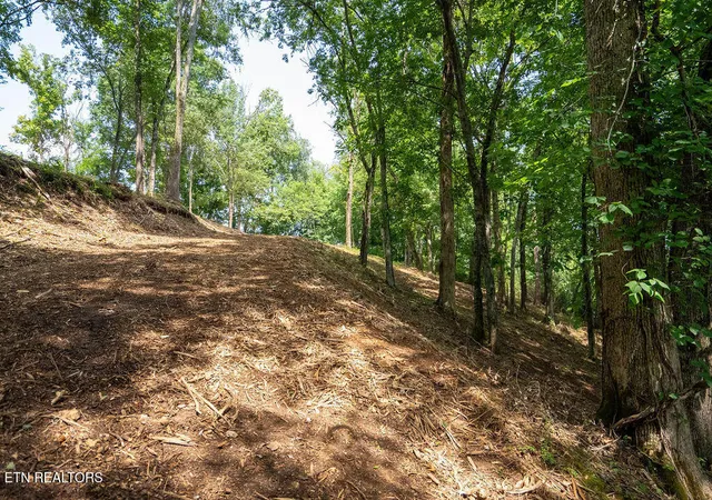 Photo 3 of Land for sale at Lot 5 Valley Dr, Loudon, TN 37774 | MLS# 1354792 | Listing updated on 2026-09-08