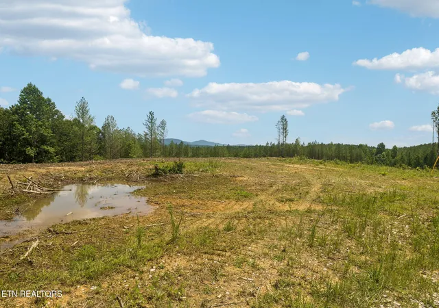 Photo 3 of Land for sale at Nydeck Tr, Robbins, TN 37852 | MLS# 1354347 | Listing updated on 2026-09-04
