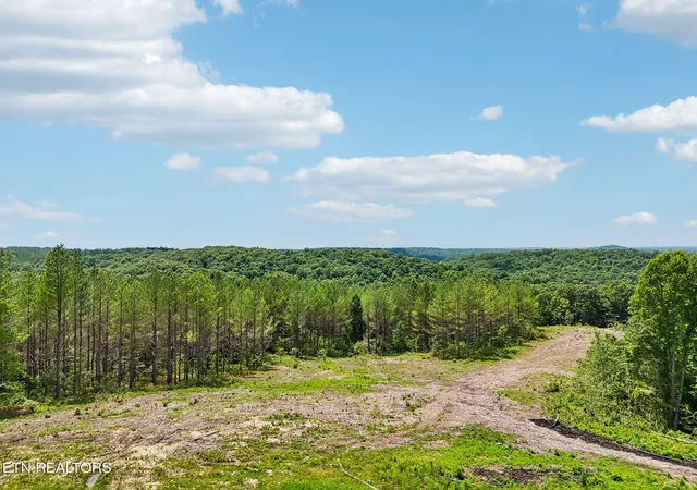 Photo 3 of Land for sale at Nydeck Tr, Robbins, TN 37852 | MLS# 1354347 | Listing updated on 2026-09-04