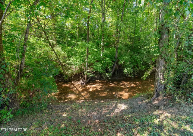 Photo 3 of Condo for sale at 7456 Crk Song Ct, Knoxville, TN 37920 | MLS# 1354430 | Listing updated on 2026-09-04