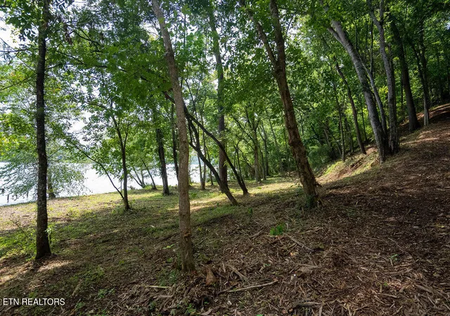 Photo 2 of Land for sale at Lot 6 Valley Dr, Loudon, TN 37774 | MLS# 1354790 | Listing updated on 2026-09-08