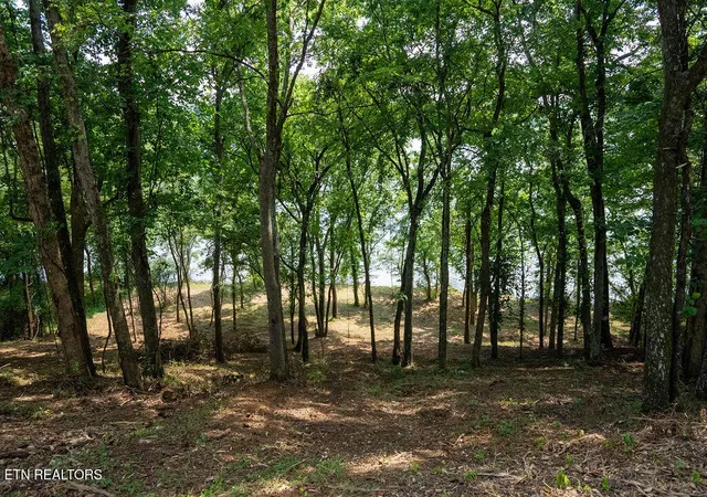 Photo 3 of Land for sale at Lot 6 Valley Dr, Loudon, TN 37774 | MLS# 1354790 | Listing updated on 2026-09-08