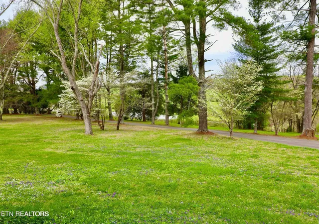 Photo 3 of Single family home for sale at 128 Chinquapin Ln, Madisonville, TN 37354 | MLS# 1354356 | Listing updated on 2026-09-10