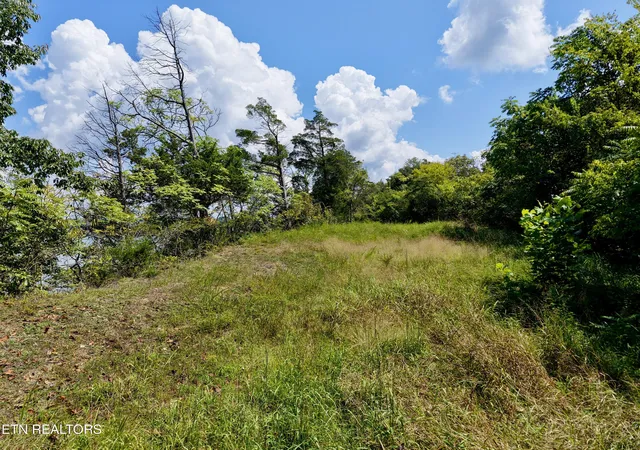 Photo 2 of Land for sale at Tbd Emerald Springs Way, Newport, TN 37821 | MLS# 1354340 | Listing updated on 2026-09-04