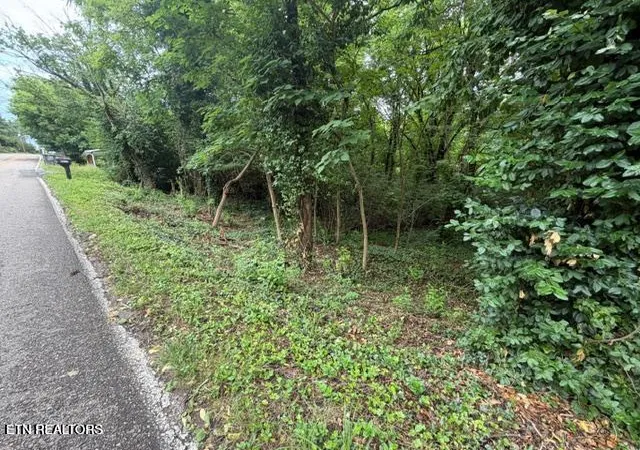 Photo 3 of Land for sale at 4210 Skyline Dr, Knoxville, TN 37914 | MLS# 1354355 | Listing updated on 2026-09-04