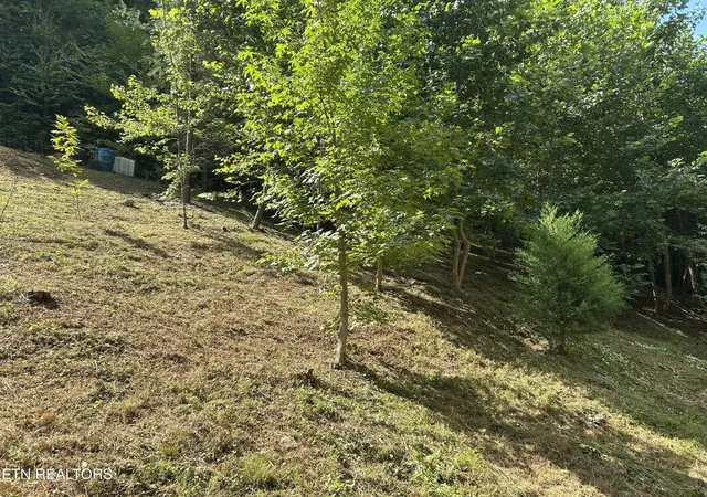 Photo 4 of Land for sale at 1272 Briar Frk Rd, Bean Station, TN 37708 | MLS# 1354753 | Listing updated on 2026-10-14