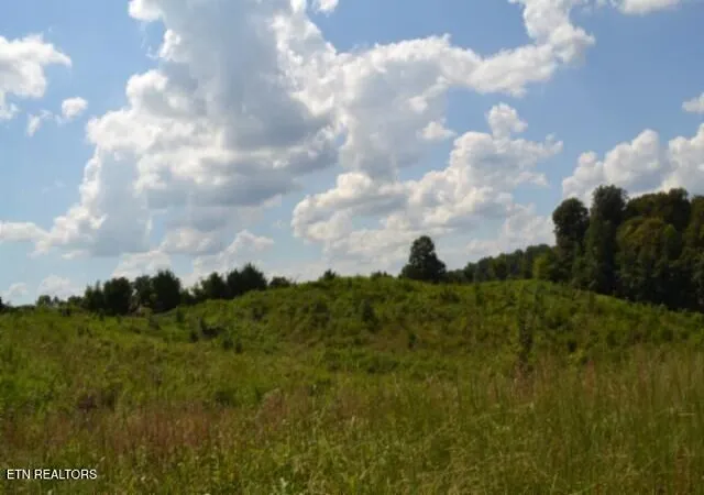 Photo 2 of Land for sale at Lot 22 Landing Ln, Smithville, TN 37166 | MLS# 1354411 | Listing updated on 2026-09-04