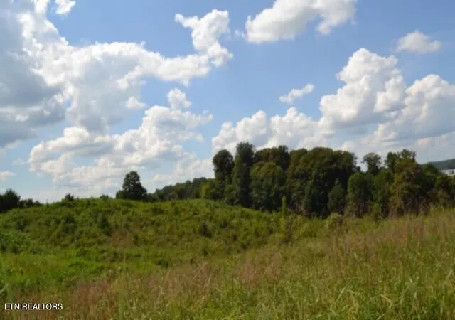 Photo 3 of Land for sale at Lot 22 Landing Ln, Smithville, TN 37166 | MLS# 1354411 | Listing updated on 2026-09-04