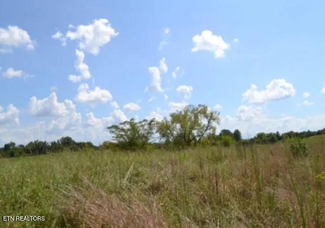 Photo 4 of Land for sale at Lot 22 Landing Ln, Smithville, TN 37166 | MLS# 1354411 | Listing updated on 2026-09-04
