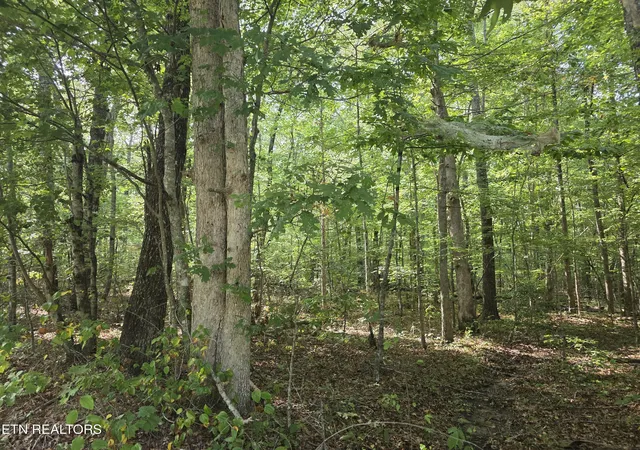 Photo 1 of Land for sale at 6 Cumberland Lakes Dr, Monterey, TN 38574 | MLS# 1354809 | Listing updated on 2026-09-08
