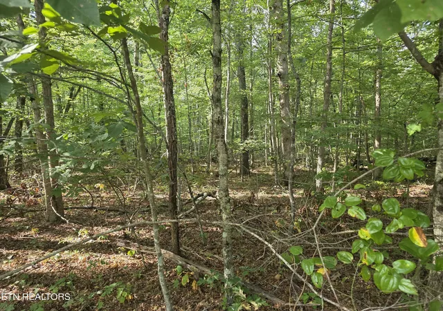 Photo 2 of Land for sale at 6 Cumberland Lakes Dr, Monterey, TN 38574 | MLS# 1354809 | Listing updated on 2026-09-08