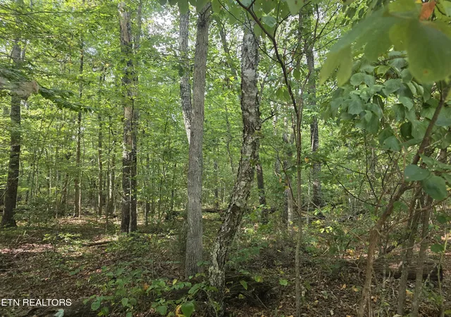 Photo 4 of Land for sale at 6 Cumberland Lakes Dr, Monterey, TN 38574 | MLS# 1354809 | Listing updated on 2026-09-08