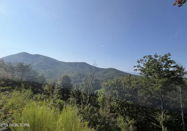 Photo 3 of Land for sale at 4228 Wears Valley Rd, Sevierville, TN 37862 | MLS# 1354456 | Listing updated on 2026-09-04