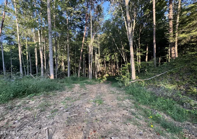 Photo 2 of Land for sale at 150 Timber Oaks Ln, Pioneer, TN 37847 | MLS# 1354665 | Listing updated on 2026-09-15