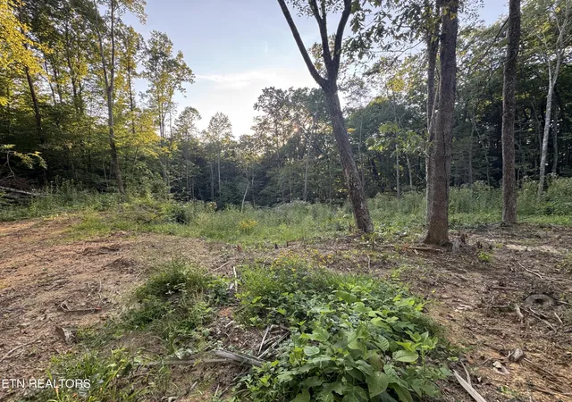 Photo 3 of Land for sale at 150 Timber Oaks Ln, Pioneer, TN 37847 | MLS# 1354665 | Listing updated on 2026-09-15