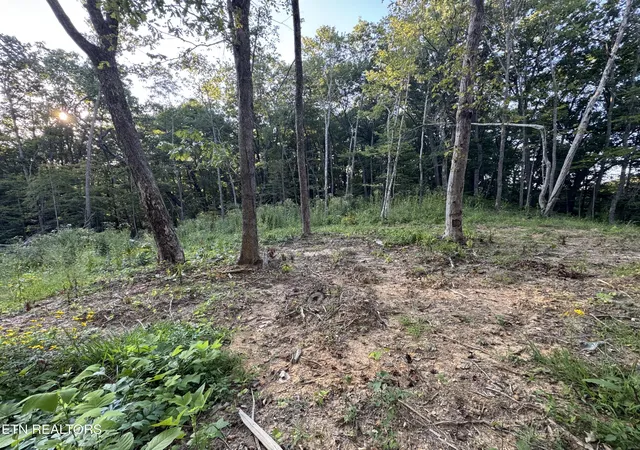 Photo 3 of Land for sale at 150 Timber Oaks Ln, Pioneer, TN 37847 | MLS# 1354665 | Listing updated on 2026-09-15
