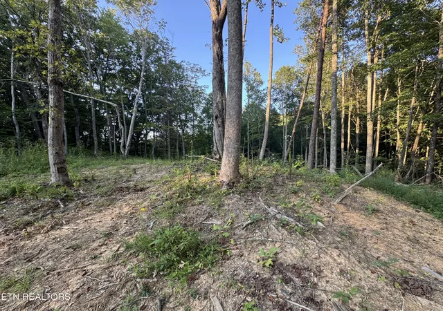 Photo 4 of Land for sale at 150 Timber Oaks Ln, Pioneer, TN 37847 | MLS# 1354665 | Listing updated on 2026-09-15