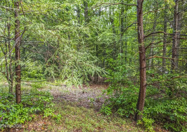 Photo 2 of Land for sale at S Shorewood Ln, Caryville, TN 37714 | MLS# 1354534 | Listing updated on 2026-10-08