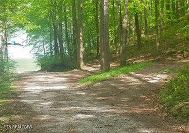 Photo 3 of Land for sale at S Shorewood Ln, Caryville, TN 37714 | MLS# 1354534 | Listing updated on 2026-10-08
