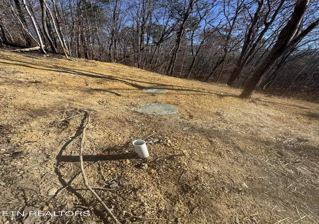 Photo 3 of Land for sale at Iron Gate Dr, White Pine, TN 37890 | MLS# 1354598 | Listing updated on 2026-09-10