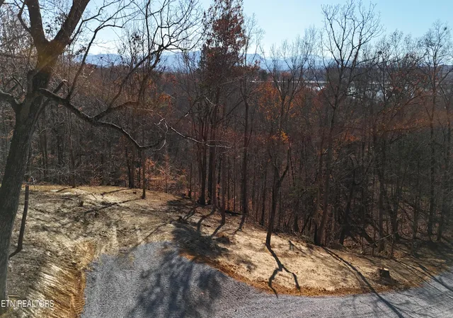 Photo 4 of Land for sale at Iron Gate Dr, White Pine, TN 37890 | MLS# 1354598 | Listing updated on 2026-09-10