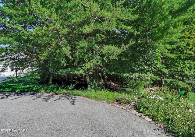 Photo 4 of Land for sale at Valarian Dr, Crossville, TN 38558 | MLS# 1354625 | Listing updated on 2026-09-11