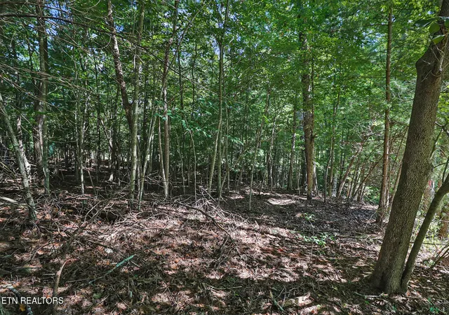 Photo 7 of Land for sale at Valarian Dr, Crossville, TN 38558 | MLS# 1354625 | Listing updated on 2026-09-11
