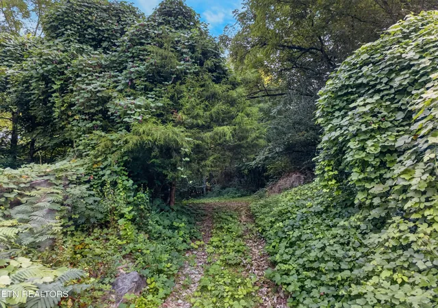 Photo 3 of Land for sale at 5106 Hwy 25w S E Of, La Follette, TN 37766 | MLS# 1354630 | Listing updated on 2026-09-07