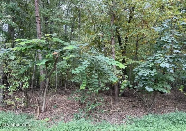 Photo 1 of Land for sale at 122 Ivy Ln, Crossville, TN 38558 | MLS# 1354631 | Listing updated on 2026-09-06