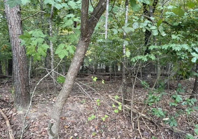 Photo 2 of Land for sale at 122 Ivy Ln, Crossville, TN 38558 | MLS# 1354631 | Listing updated on 2026-09-06