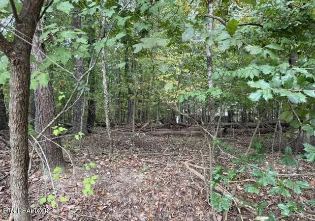 Photo 3 of Land for sale at 122 Ivy Ln, Crossville, TN 38558 | MLS# 1354631 | Listing updated on 2026-09-06