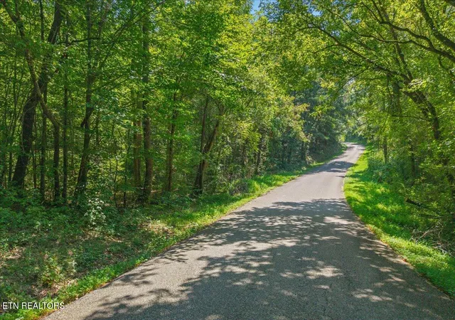 Photo 4 of Land for sale at Daugherty Springs Rd, Tellico Plains, TN 37385 | MLS# 1354659 | Listing updated on 2026-09-18