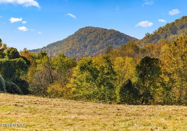 Photo 4 of Land for sale at Colonial Ln, Lake City, TN 37769 | MLS# 1354658 | Listing updated on 2026-09-06
