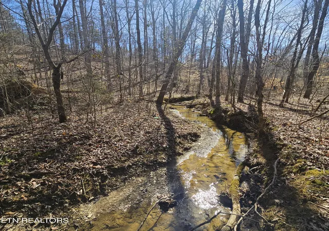 Photo 1 of Land for sale at Lick Crk Rd, Tellico Plains, TN 37385 | MLS# 1355085 | Listing updated on 2026-09-10