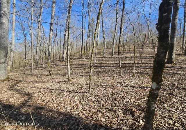 Photo 3 of Land for sale at Lick Crk Rd, Tellico Plains, TN 37385 | MLS# 1355085 | Listing updated on 2026-09-10