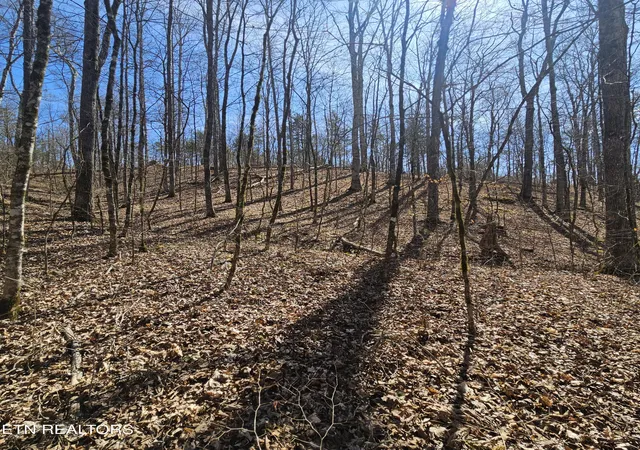 Photo 3 of Land for sale at Lick Crk Rd, Tellico Plains, TN 37385 | MLS# 1355085 | Listing updated on 2026-09-10