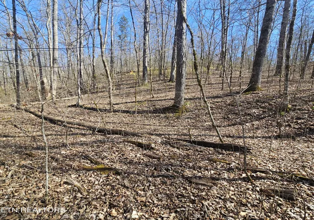 Photo 4 of Land for sale at Lick Crk Rd, Tellico Plains, TN 37385 | MLS# 1355085 | Listing updated on 2026-09-10