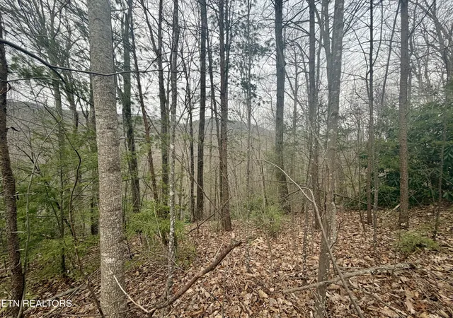 Photo 1 of Land for sale at Thissa Way, Gatlinburg, TN 37738 | MLS# 1354682 | Listing updated on 2026-09-07