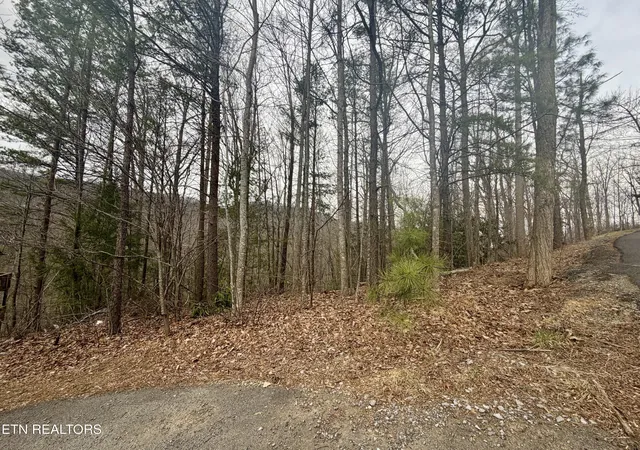 Photo 3 of Land for sale at Thissa Way, Gatlinburg, TN 37738 | MLS# 1354682 | Listing updated on 2026-09-07