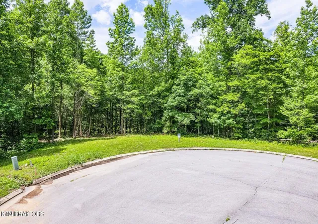 Photo 3 of Land for sale at 439 Ridgeway Pass, Spring City, TN 37381 | MLS# 1354690 | Listing updated on 2026-09-07