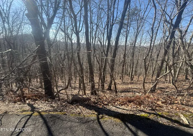 Photo 3 of Land for sale at 207 Laurel Mountain Rd, Madisonville, TN 37354 | MLS# 1354716 | Listing updated on 2026-09-08