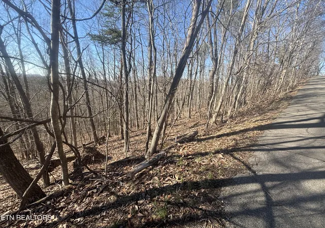 Photo 3 of Land for sale at 207 Laurel Mountain Rd, Madisonville, TN 37354 | MLS# 1354716 | Listing updated on 2026-09-08