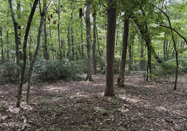 Photo 1 of Sale Pending at Lot 6 Tanner Dr, Monterey, TN 38574 | MLS# 1354729 | Listing updated on 2026-09-09