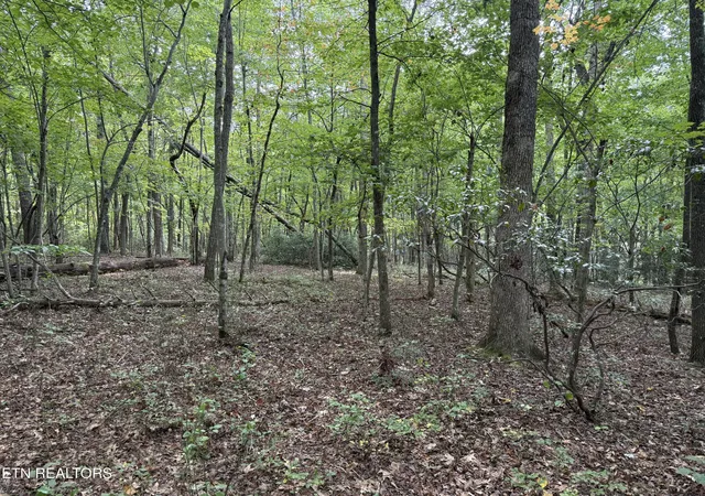 Photo 2 of Sale Pending at Lot 6 Tanner Dr, Monterey, TN 38574 | MLS# 1354729 | Listing updated on 2026-09-09