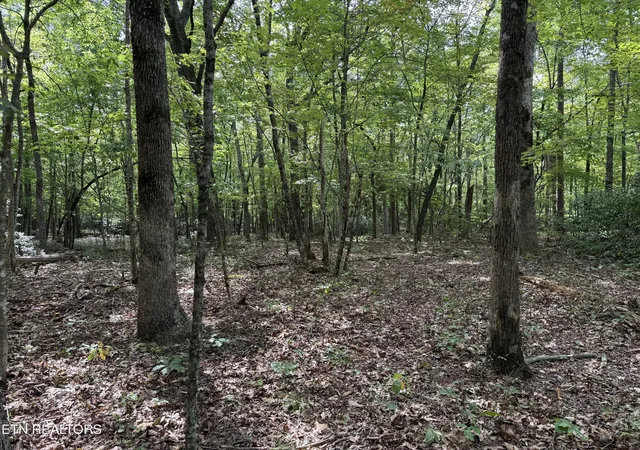 Photo 3 of Sale Pending at Lot 6 Tanner Dr, Monterey, TN 38574 | MLS# 1354729 | Listing updated on 2026-09-09