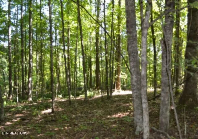 Photo 1 of Land for sale at 3ac Rock Springs Rd, Celina, TN 38551 | MLS# 1354770 | Listing updated on 2026-09-08