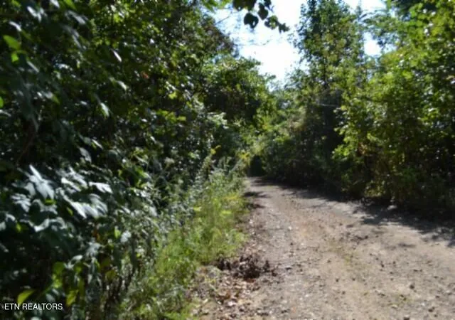Photo 3 of Land for sale at 3ac Rock Springs Rd, Celina, TN 38551 | MLS# 1354770 | Listing updated on 2026-09-08
